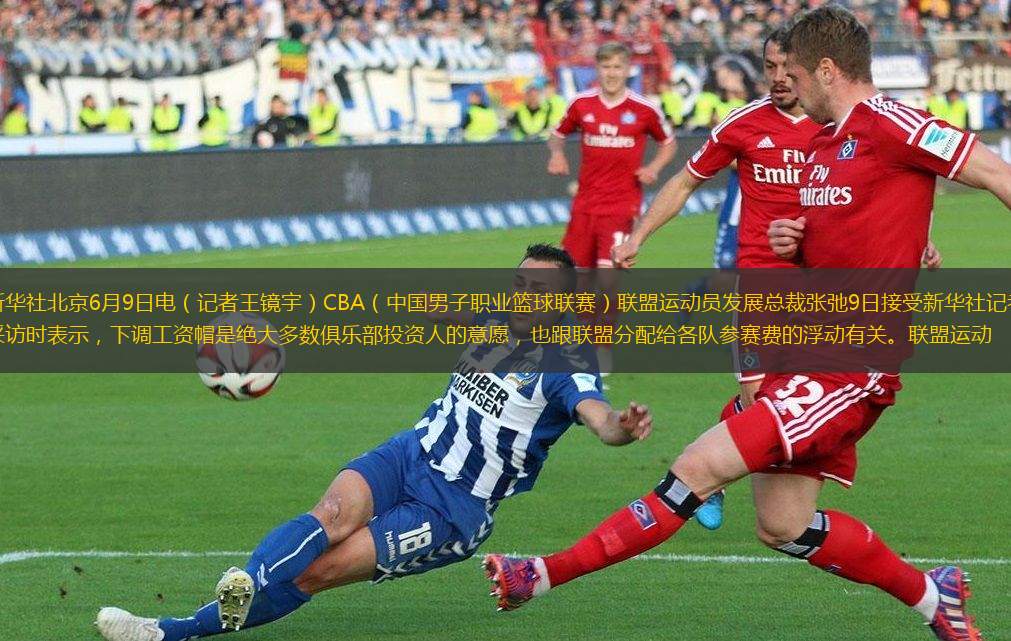 將最大可能